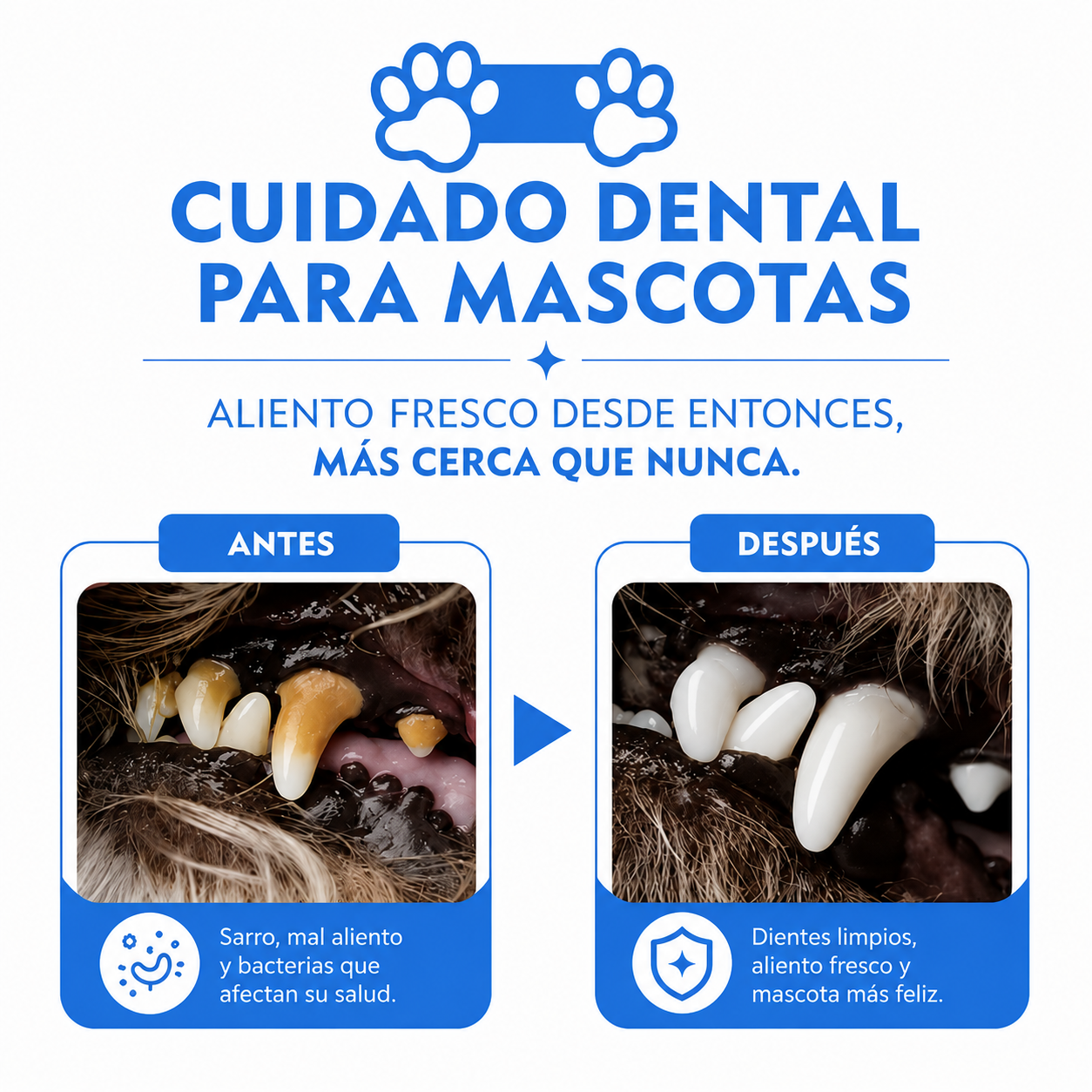 Spray bucal para mascotas 30 mL